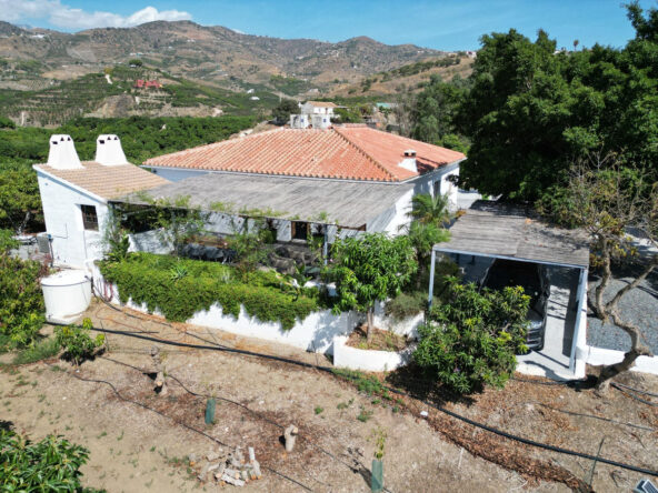 Finca Jeroen 01